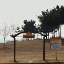 행담도 | 경기 근교 강아지 무료 운동장, 모다아울렛 행담도점 5,000평 애견파크 솔직 후기