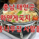 통나무식당 | 태안 게국지 맛집 하얀게국지 통나무집 후기｜덕수식당 조기 마감 후 찾은 인생 게국지