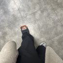 차홍농장 | 3월 넷째주 : 직장인이라면 할 수 없는 것들의 향연