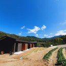동산오토캠핑장
