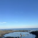 성산아쿠아비치호텔 | 제주 여행ㅣ성산 오션뷰 가성비 숙소 추천 ㅣ오션블리스ㅣ내돈내산 재방문 의사 100프로!