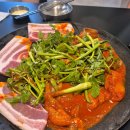 쭈꾸미도사 이미지