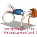 짐볼 어드밴스 푸샵 (Fitball Advanced Push Up) - 가슴 이미지