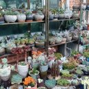 화원펜션 이미지