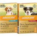 마음편한동물메디컬센터 이미지