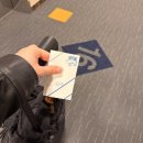 가평군청 2청사 4층 | 토요코인 대전 호텔 레지던스싱글 룸 및 조식 후기 대전숙소추천