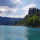 굿포스테이 이미지