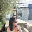 세이브존앞 | [뉴질랜드 2주여행] day4 파크앤세이브, 제랄딘, 페어리, 푸카키, 벤오하우(트위첼) 에어비앤비 숙소 후기