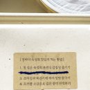 정바다용호동횟집부산숙성회 이미지