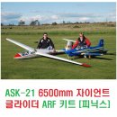 ASK-21 6500mm 자이언트 글라이더 ARF 키트 [피닉스] 이미지