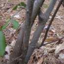 개산초등학교 이미지