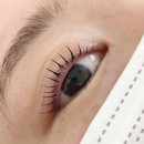 글로잉 | [인천/서구] 가정동속눈썹펌 글로잉데이 후기