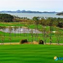 비올라의원 이미지