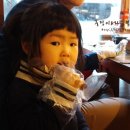 원시쪽갈비 이미지