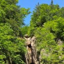 불갑약수터 이미지