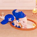 골드피그 이미지