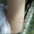 송도유외과의원 이미지