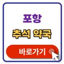 수정약국 | 포항 추석 문여는 약국 찾기 연휴 휴일지킴이 약국 검색 방법