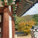 월봉서원 | 월봉서원, 한국 전통의 아름다움을 만난 후기