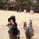 전원미술관(휴관) 이미지