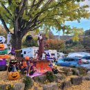 괴산-1 | [No.1] 충북 괴산 도명산 캠핑장 할로윈 캠핑 후기