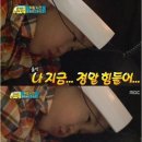 매드후라이치킨 이미지