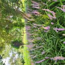 금수산 농원 이미지