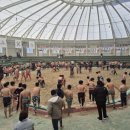 고성군 실내체육관 이미지