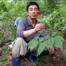 옥대1리 이미지