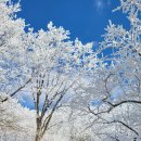 설산한의원 이미지