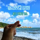 햇빛부서지는바다 | 부산 근교 울산 가볼 만한 곳 슬도 바닷길 트레킹 울산 대왕암 코스 후기!