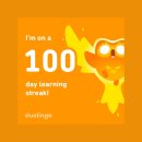 인생막창(무실점) | 11월 일상 - 초록 물결이 톡톡 튀는 젊음처럼