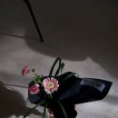 보로하 - 수원시 권선구 권중로4번길 12 | 보로하