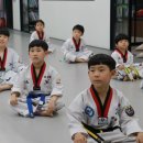 라이온 태권도 이미지