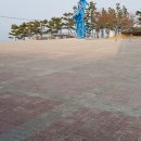 대천해수욕장 시민탑광장 이미지