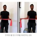 세라헬스 네이버블로그