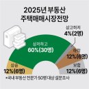 2025년 부동산 전망과 재테크 전략 네이버블로그