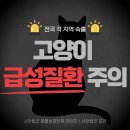 이레본 이미지