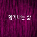 향기나는세상 이미지