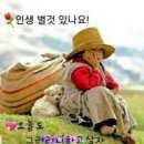 늙음의 미학(美學)과 인생무상(人生 無常)-심중한담-6 이미지