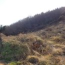 남해-153 이미지