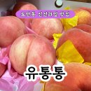 성광유통 이미지