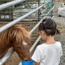 관상농장 | 용인가볼만한곳 용인동물먹이주기 용인체험농장 헤븐온어스