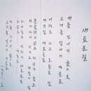 오토컬러