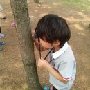 성심예아뜨어린이집 이미지