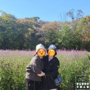 🍁탑요양병원 가을 힐링 프로그램🍂