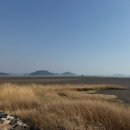 바다해펜션Ⅱ | [판타루시아] 대부도펜션 바다 앞 감성 돔 숙소 앙코르 객실 후기