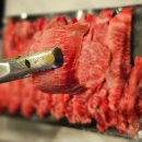 문덕 고기집 백정 식육식당 살살 녹는 한우 모둠 특수부위 후기