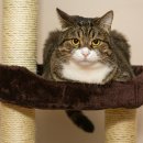 우리아이동물병원 이미지