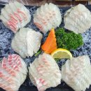 돌고래회수산 이미지